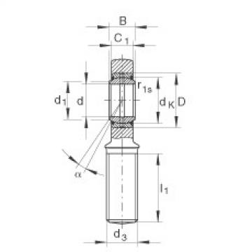 FAG fl205 bearing housing to skf Rod ends - GAL6-DO