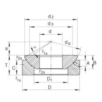 FAG 6203 bearing skf Axial spherical plain bearings - GE200-AX