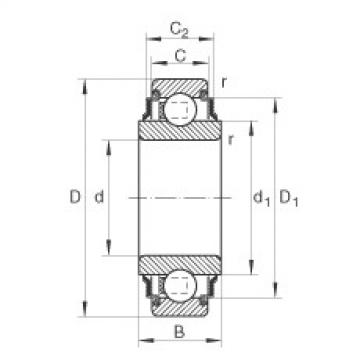 Bearing catalog 203-KRR-AH05 INA