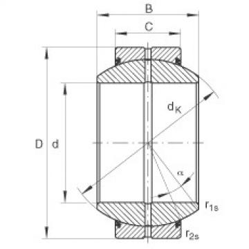 plain bushings bearings GE160-FO-2RS INA