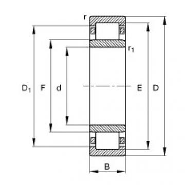 Cylindrical Roller Bearings Distributior NU10/500-TB-M1 FAG