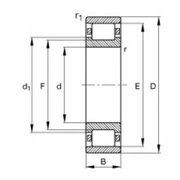 Cylindrical Roller Bearings N219-E-TVP2 FAG