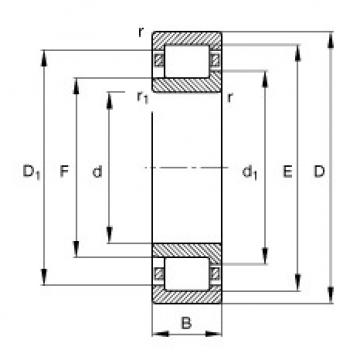 FAG корпус подшипника ina205 Cylindrical roller bearings - NJ220-E-XL-TVP2