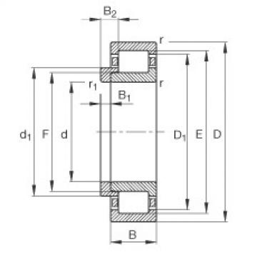 Cylindrical Bearing NJ204-E-TVP2 + HJ204-E FAG