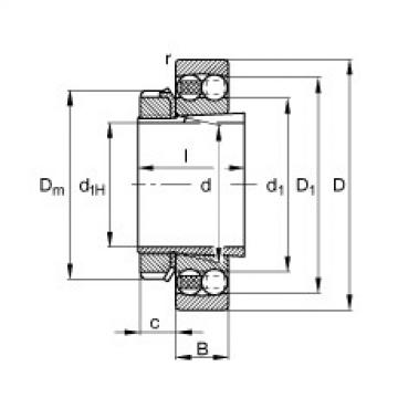 FAG beariing 24140cck30 w33 skf Self-aligning ball bearings - 1215-K-TVH-C3 + H215