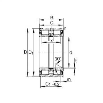 FAG w15 8 rodamiento ina Cylindrical roller bearings - SL045060-PP