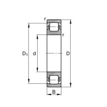 FAG harga bearing 6305 zz fag Barrel roller bearings - 20234-MB