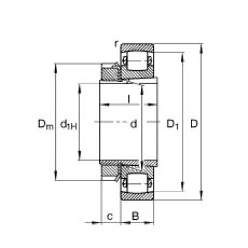 FAG bearing mcgill fc4 Barrel roller bearings - 20209-K-TVP-C3 + H209