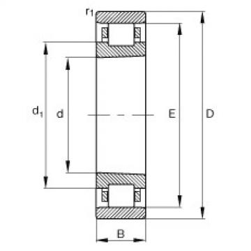 FAG ราคา bearing timken 107105 cup Cylindrical roller bearings - N1988-K-M1-SP