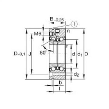 FAG nsk bearing series Axial angular contact ball bearings - ZKLF100200-2Z-XL