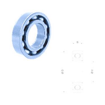 Bearing ABB WEG SKF DISTRIBUTORS online catalog 6304/17B17-2RS  Fersa   