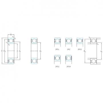 Bearing BEARING INA F 61801.2 RS online catalog 62207-2RS1  SKF   