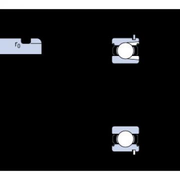 Bearing catalog 305-2ZNR SKF