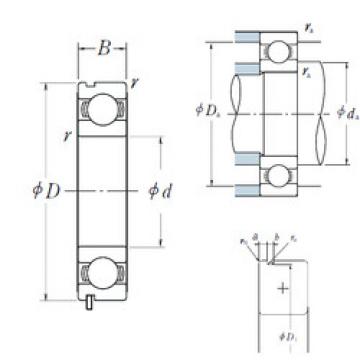 Bearing BEARING INA F 61801.2 RS online catalog 6214N  NSK   