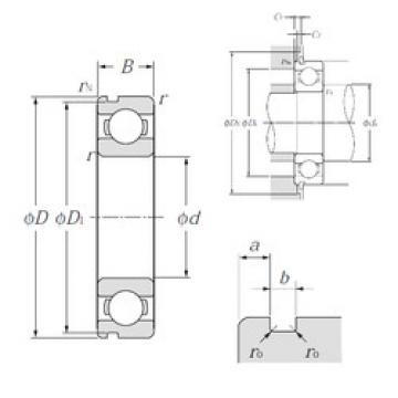 Bearing catalog 6005N NTN