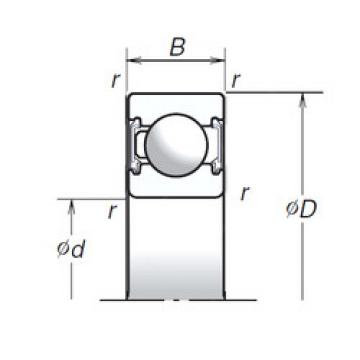 Bearing 13889 TIMKEN BEARING online catalog 6206T1XVV  NSK   