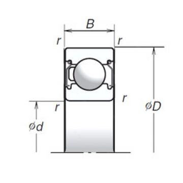 Bearing F553855 INA online catalog 6208T1XZZ  NSK   