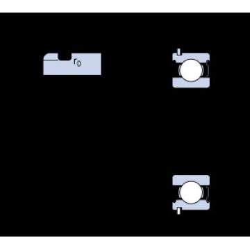 Bearing catalog 6004-ZNR SKF