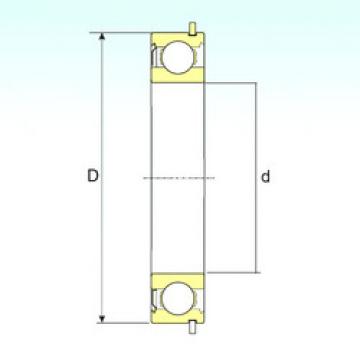 Bearing catalog 6005-ZNR ISB