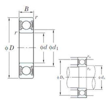 Bearing BALL BEARING 6010 ZZ SKF online catalog 6307  2RD  C3  KOYO 