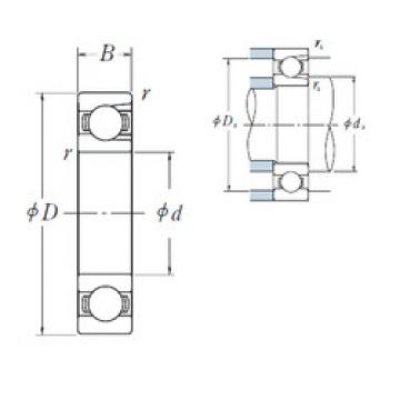 Bearing export BL  205  NSK  