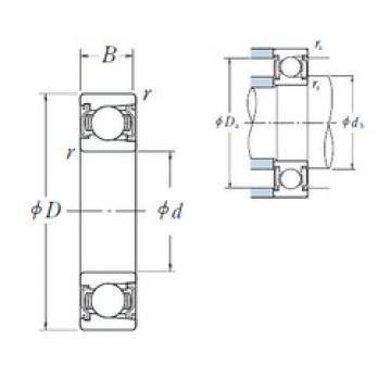 Bearing export BL  206  ZZ  NSK 