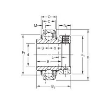 Bearing export GN105KRRB  Timken   