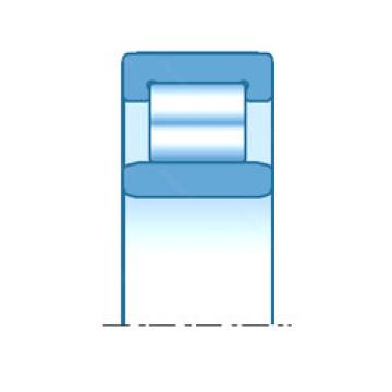 cylindrical bearing nomenclature R0684 NTN