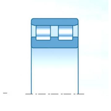 cylindrical bearing nomenclature RNN3025 NTN