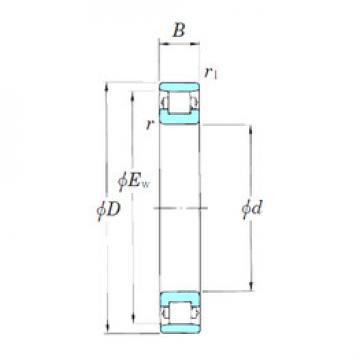 Cylindrical Roller Bearings 3NCN1006 KOYO