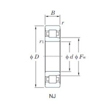 Cylindrical Bearing NJ204 KOYO