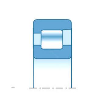 Cylindrical Bearing NFV1838 NTN