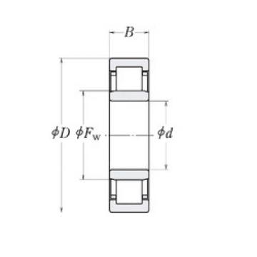 Cylindrical Roller Bearings LLRJ1.1/2 RHP