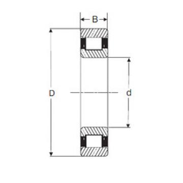 cylindrical bearing nomenclature RXLS 10 SIGMA