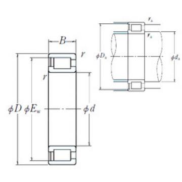 Cylindrical Bearing NCF2922V NSK