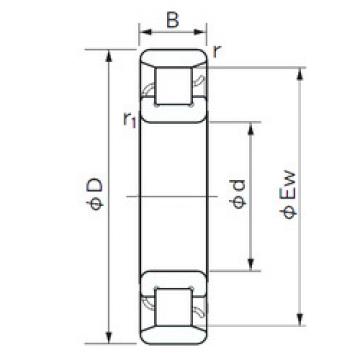 Cylindrical Roller Bearings N 1016 NACHI