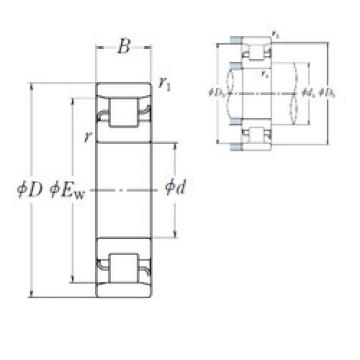 Cylindrical Roller Bearings N 204 NSK