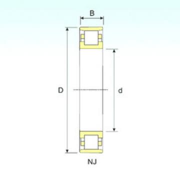 Cylindrical Roller Bearings N 207 ISB