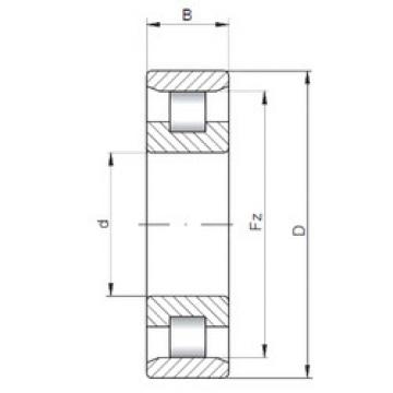 Cylindrical Roller Bearings N1872 ISO