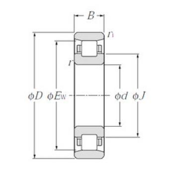 Cylindrical Roller Bearings N1009 NTN