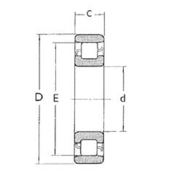 Cylindrical Roller Bearings N1007 FBJ