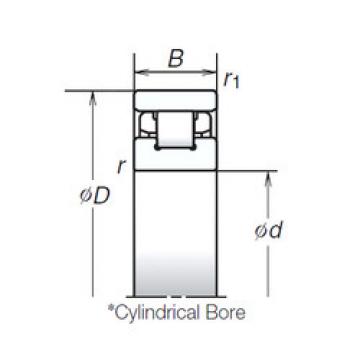 Cylindrical Roller Bearings N1012RSTP NSK