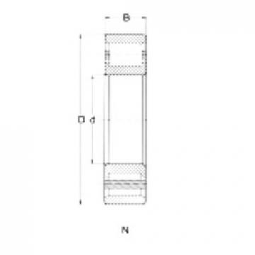 Cylindrical Roller Bearings N205 CRAFT