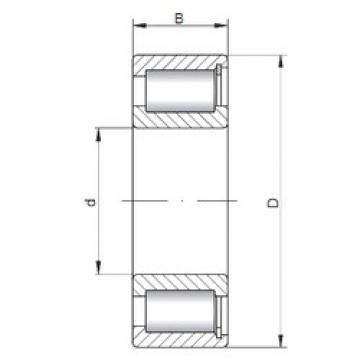 Cylindrical Bearing NCF2912 V ISO