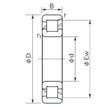 Cylindrical Bearing NF 1006 NACHI