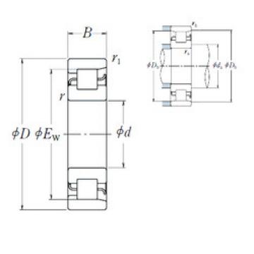 Cylindrical Bearing NF 208 NSK