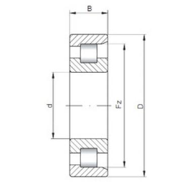 Cylindrical Bearing NF10/500 ISO