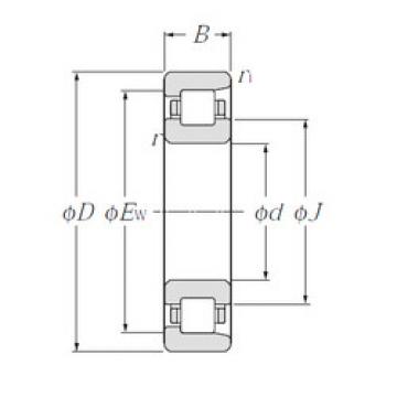 Cylindrical Bearing NF202 CYSD