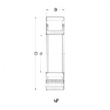 Cylindrical Bearing NF204 CRAFT