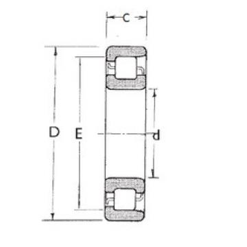 Cylindrical Bearing NF208 FBJ